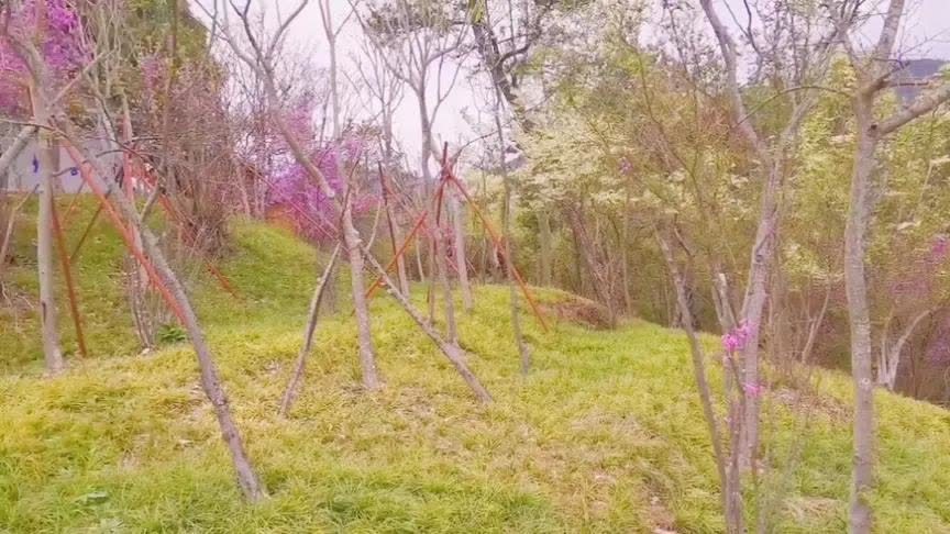 360影视 影视搜索