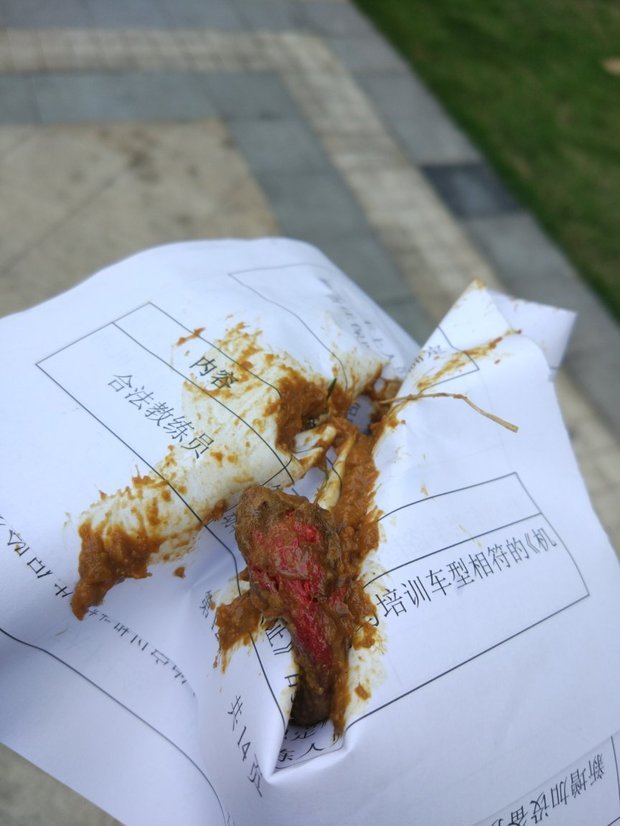 狗狗大便带血丝,今天捡狗屎发现里面有血,大便正常,不吐不拉,食量正常
