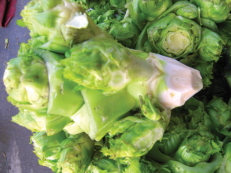 这是什么菜!学名!急死了!