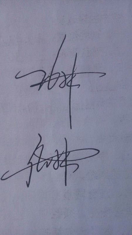 求帮设计一个签名:张林,要动态的,能知道怎么写的