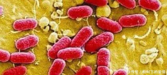 抽检不合格属于食品