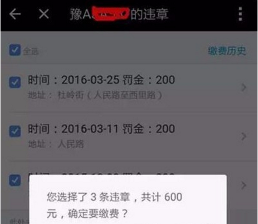 车辆违章查询：提升车主行车素质的新窗口