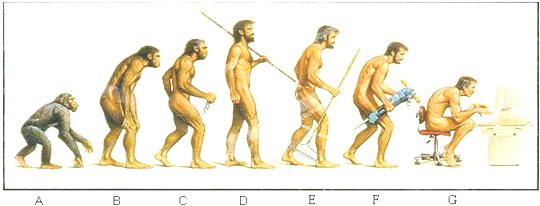 如图表示人类的进化过程,请据图回答下列问题