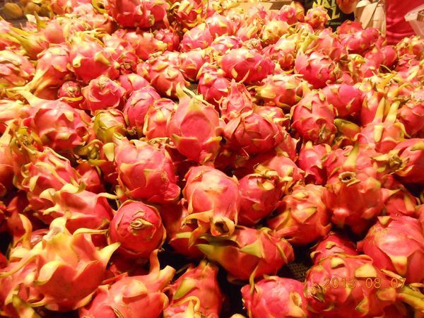 我买到火龙果种子了要怎么种?