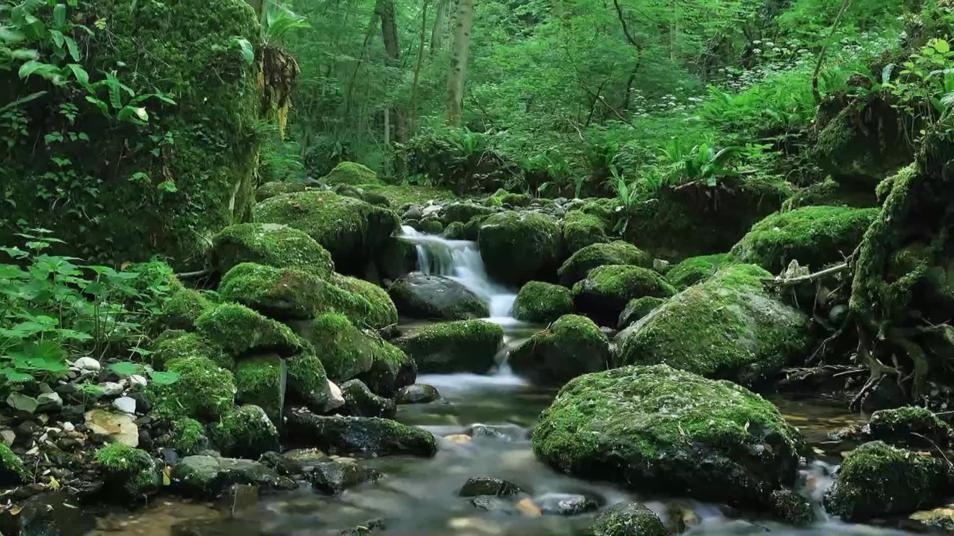 [图]神级小刁民全文免费阅读