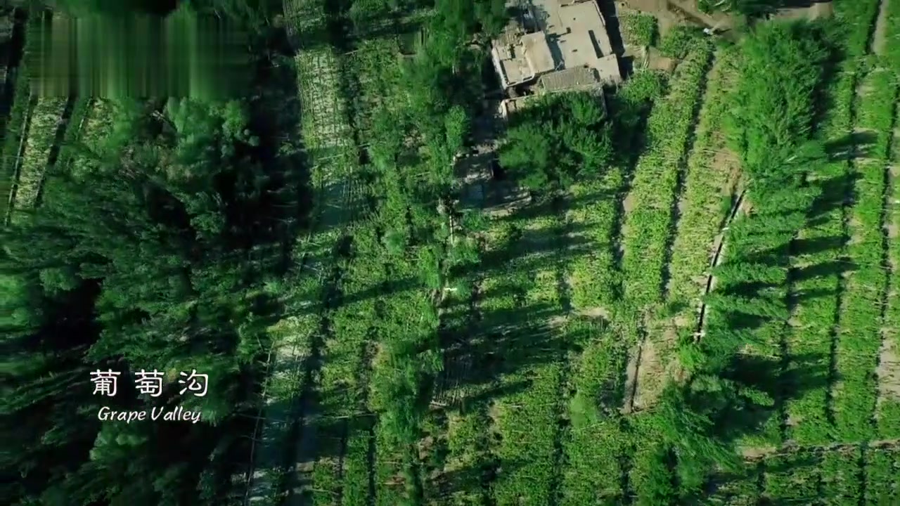 航拍新疆吐鲁番葡萄沟 沙漠里的点缀之笔