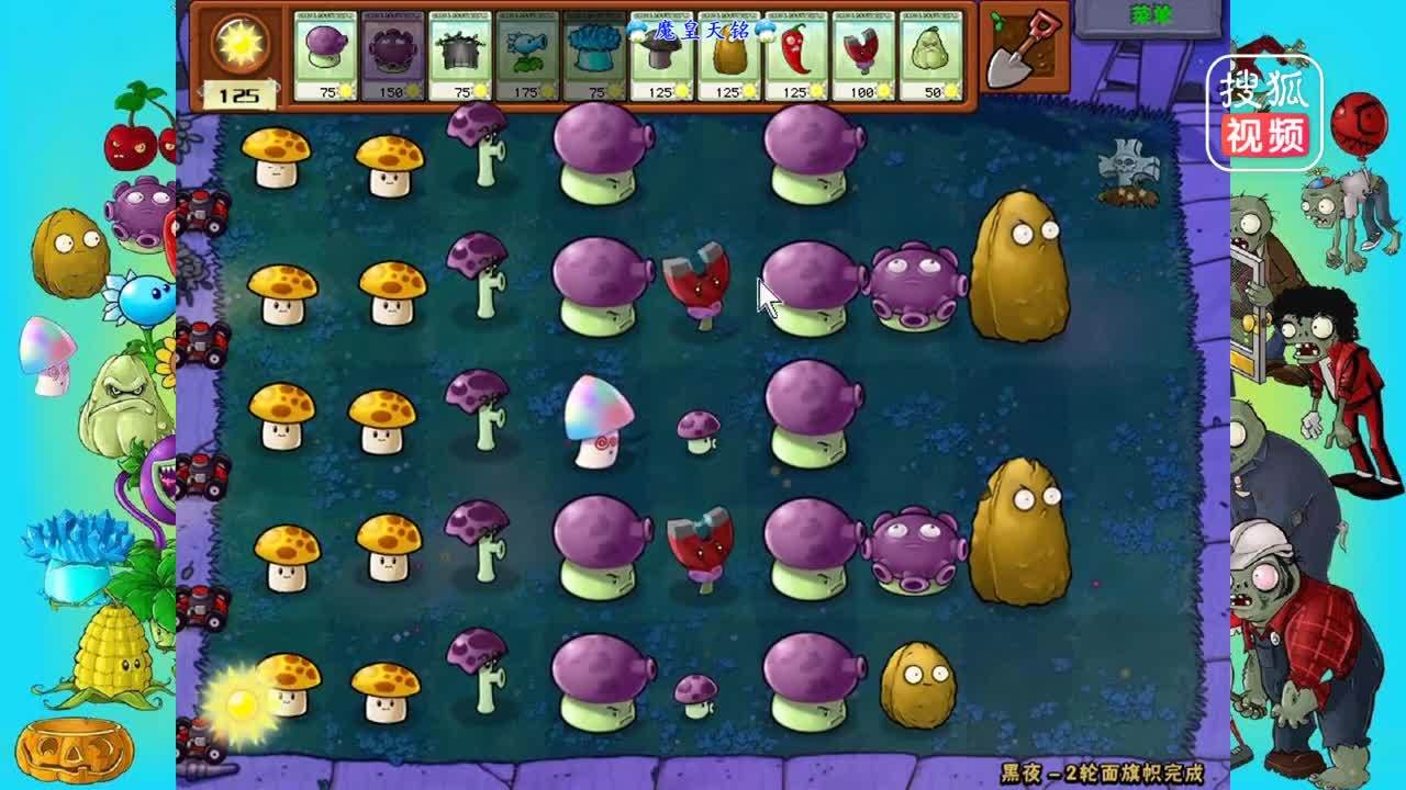 天铭  植物大战僵尸年度版 31 多嘴小喷菇之黑夜大决战