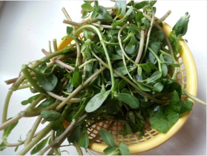 马思汉野菜的凉拌做法是怎样的?怎样去酸味?