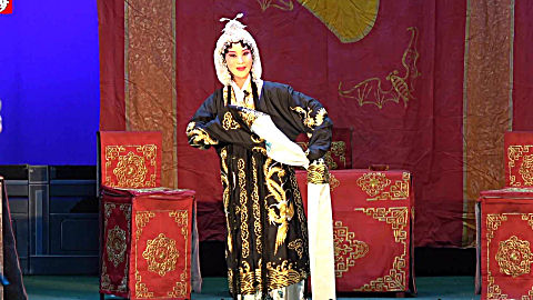 保定老调《潘杨讼》选段 刘瑞霞 恨潘洪施毒计苦害杨门——梨园痴梦