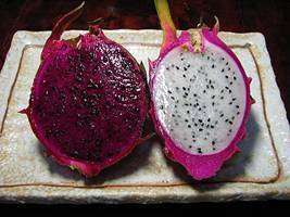 火龙果里面的黑点点是种子吗,可以种的发芽吗