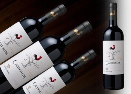 智利的红酒品牌,carmenere 2015瓶身是素描的