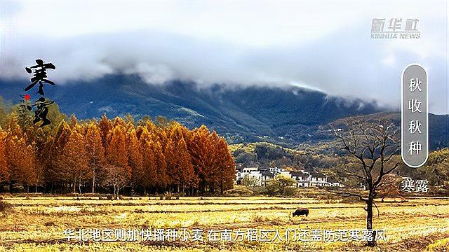 [图]今日寒露丨天寒露重,望君珍重