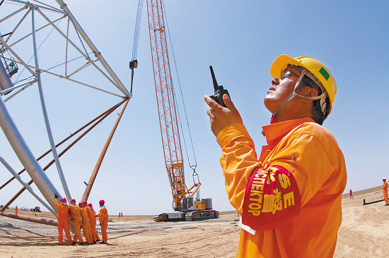 我要办一个塔吊指挥证,请问在那个部门办