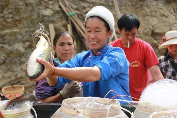 中国历史上出现过多少个民族?它们是如何演变