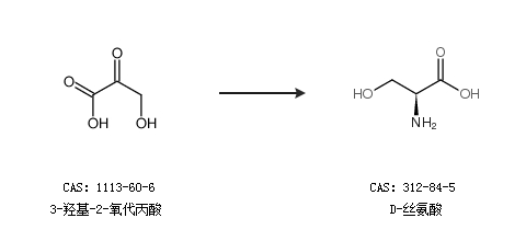 通过3-羟基-2-氧代丙酸合成d-丝氨酸