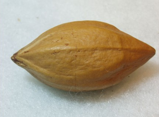 你好,楼主 橄榄核分为很多形状的哦,有大核,就是核子比较大的那种橄榄