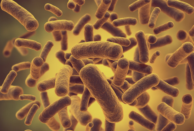 在促进生物圈中的物质循环起重要作用, 3,分解者是指细菌和真菌等营腐