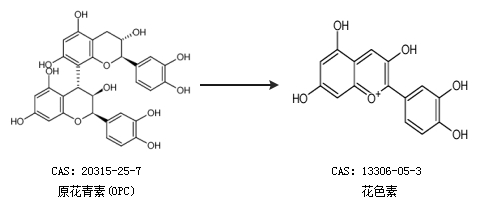 花色素的合成路线有哪些 360问答