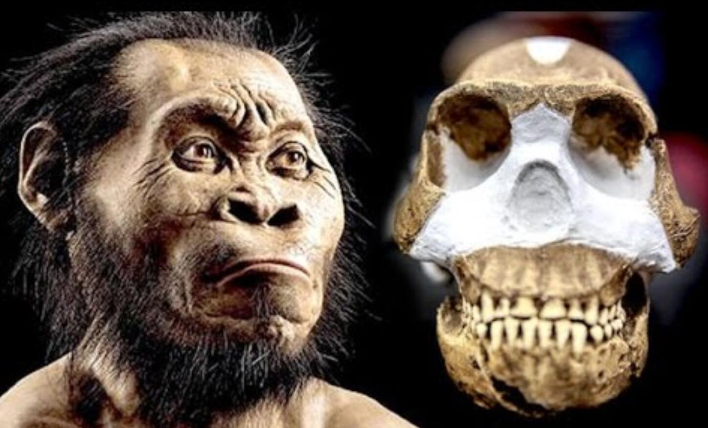 科学家在莱茵河发现970万年的人类牙齿!