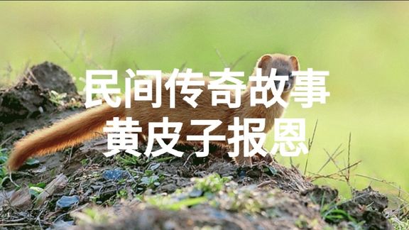 [图]民间传奇故事:黄皮子报恩