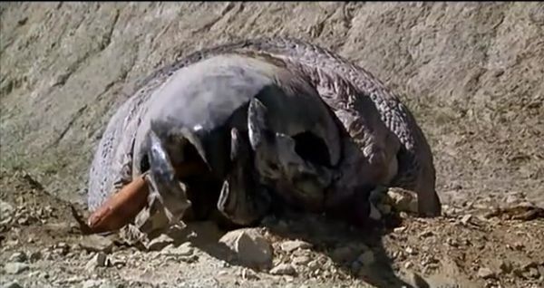 穿越火线怎么大跳!不是WS跳蹲那种,也不是鬼