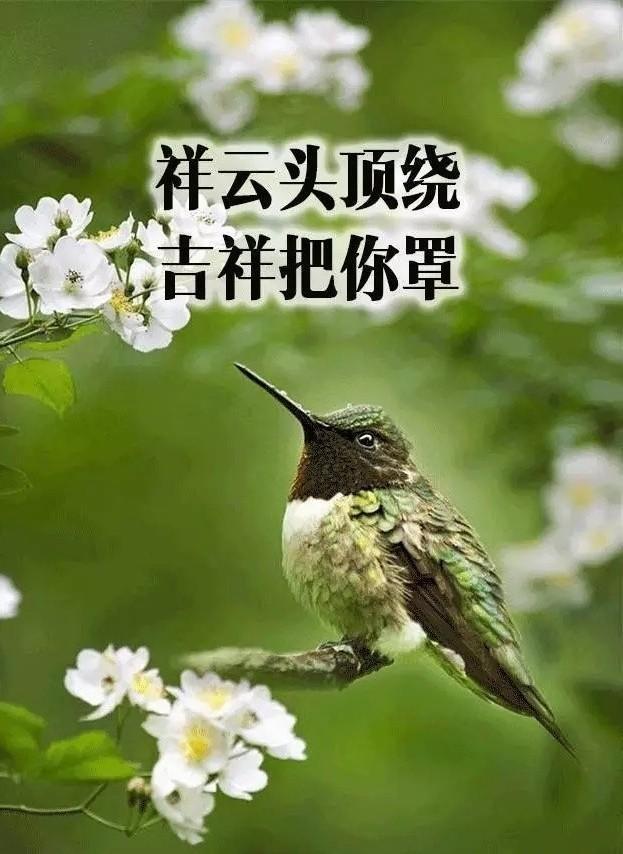 致朋友跨年的文案