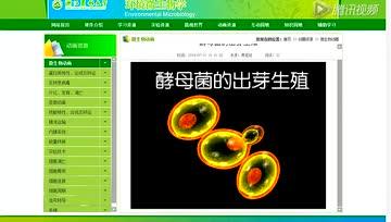 360影视 影视搜索