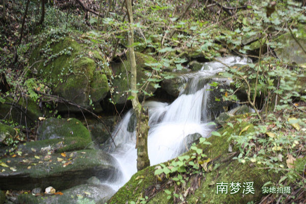 春节期间西安旅游景点