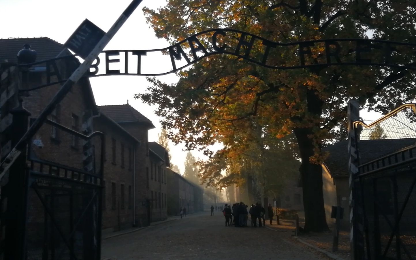 [图]在波兰我去看了奥斯维辛集中营 Auschwitz | Poland vlog 4