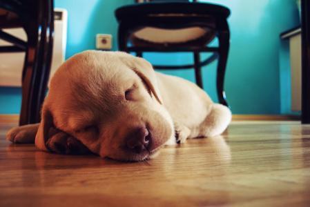 战神3怎么达成隐藏结局