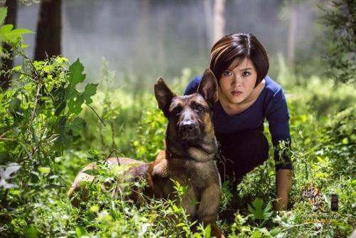 湖南卫视热播的神犬奇兵里提到的完美江何购物网站的网址是多少 怎么