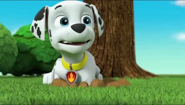 《汪汪队立大功 第4季》狗狗们玩乐乐球喽,太可爱了