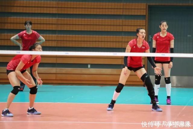 2019女排主力名单