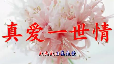 [图]李羿慧演唱《哑巴新娘》主题曲《真爱一世情》太好听了