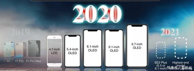 苹果有什么样的苹果