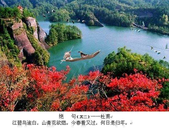 江碧鸟逾白,山青花欲燃是什么意思