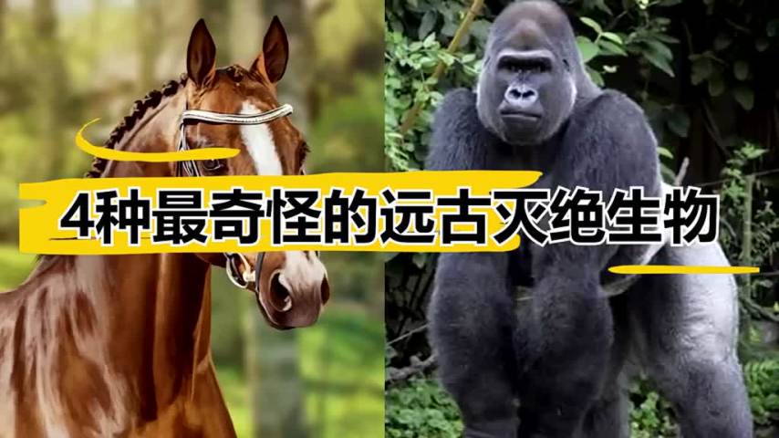 4种最奇怪的远古 灭绝生物,还有嘴巴像旋刀一样的旋齿鲨?