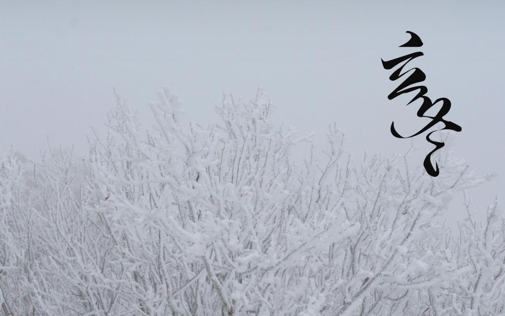 二十四节气之立冬唯美的雪景风光[图4]