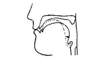 如何快速学会弹舌