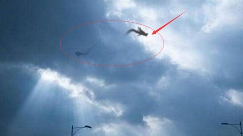 日本瑞龙寺藏有" 真龙"标本,中国神龙为何在日本寺庙?