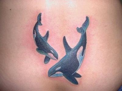 纹身纹鲸鱼有什么忌讳