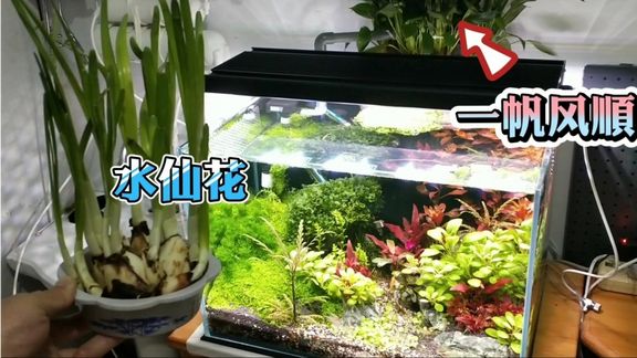 360影视 影视搜索 360影视 影视搜索