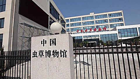 泛亚医药 中国 虫草博物馆