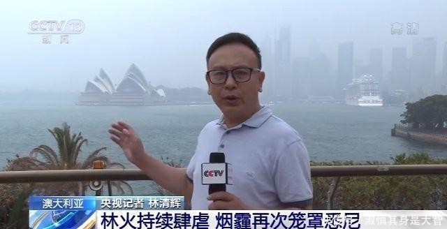 悉尼澳大利亚的吗