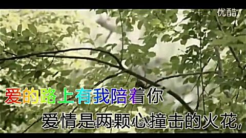 [图]新红尘情歌MV