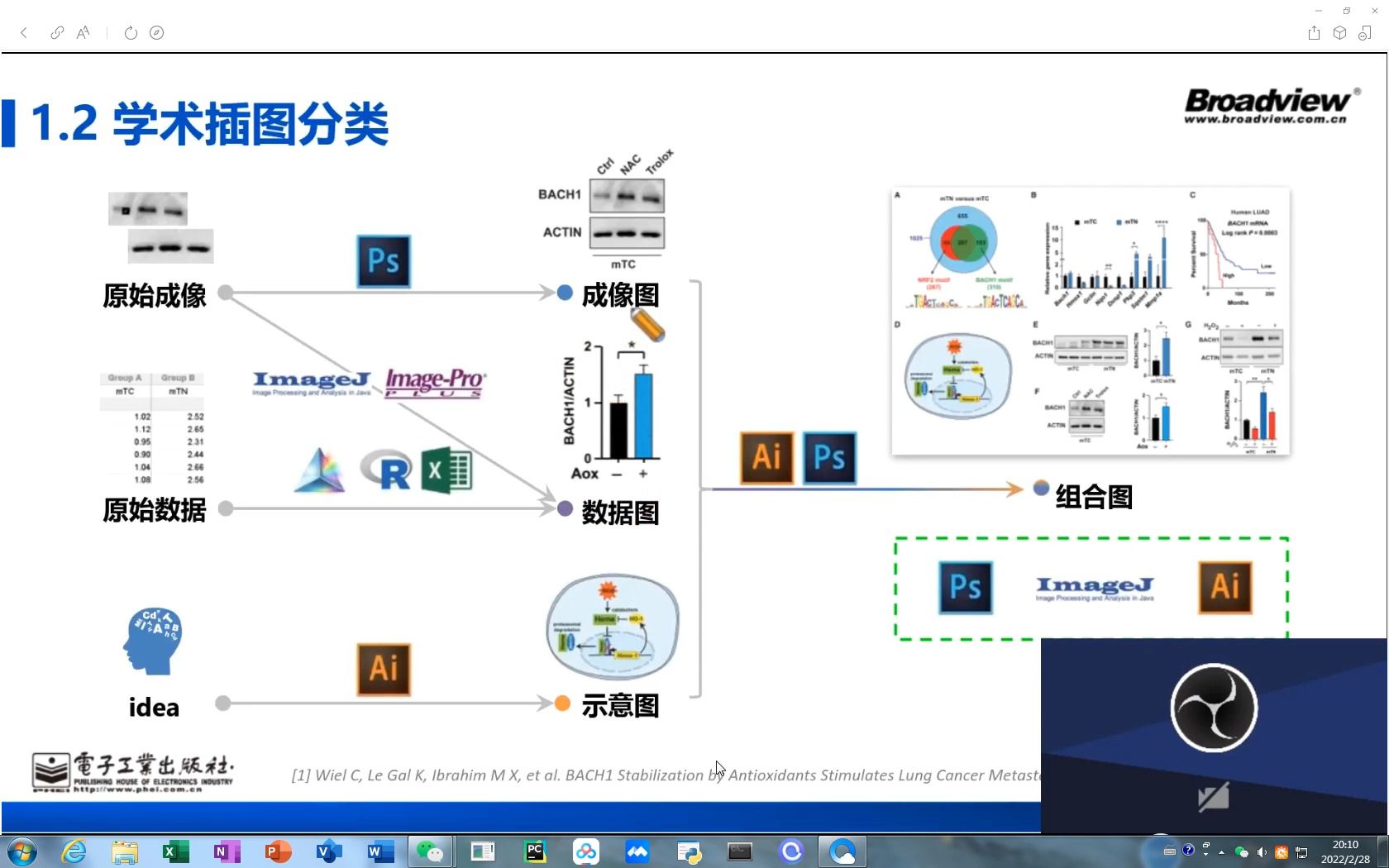 [图]学术图表制作