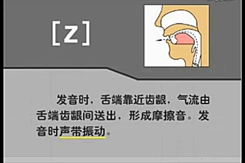 零基础学英语音标第33课:浊辅音之摩擦音 [z]