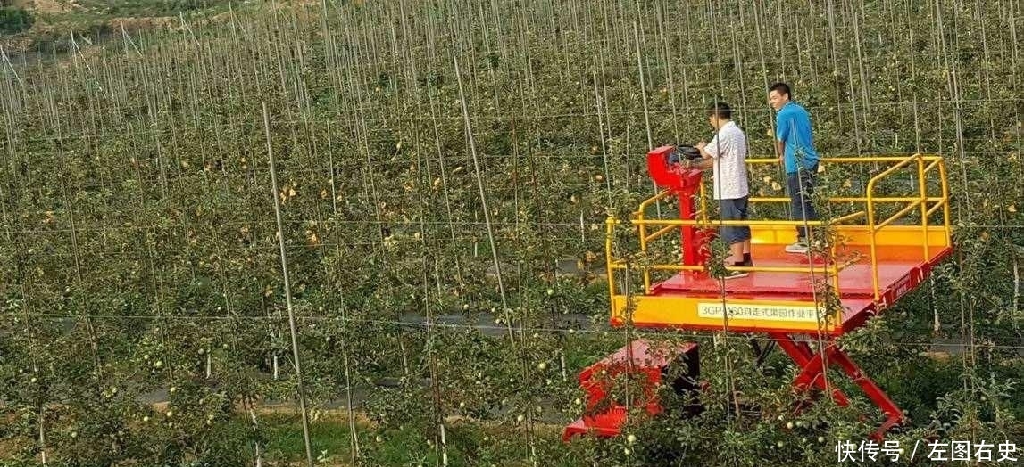 现代农业发展重点是发展