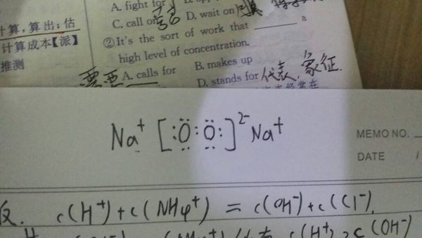 Na2O2电子式怎么写?