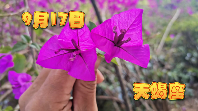 360影视 影视搜索 360影视 影视搜索